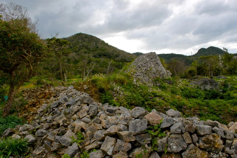 a pile of rocks are in the foreground, surrounded by plants and mountain in background