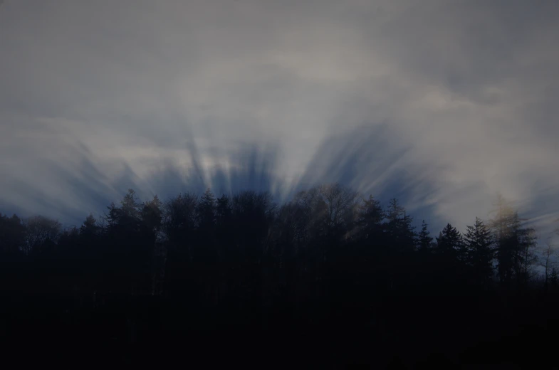 trees silhouetted against the cloudy sky in front of a line of forest