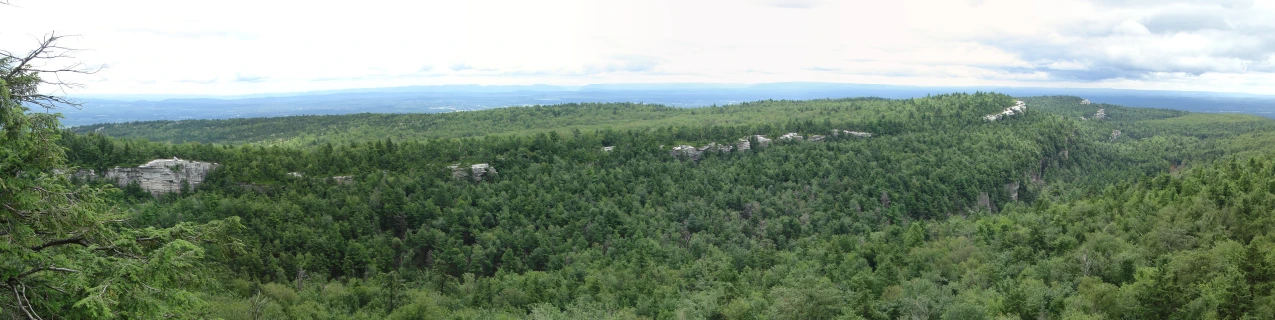 the large forested hill is covered in lots of trees