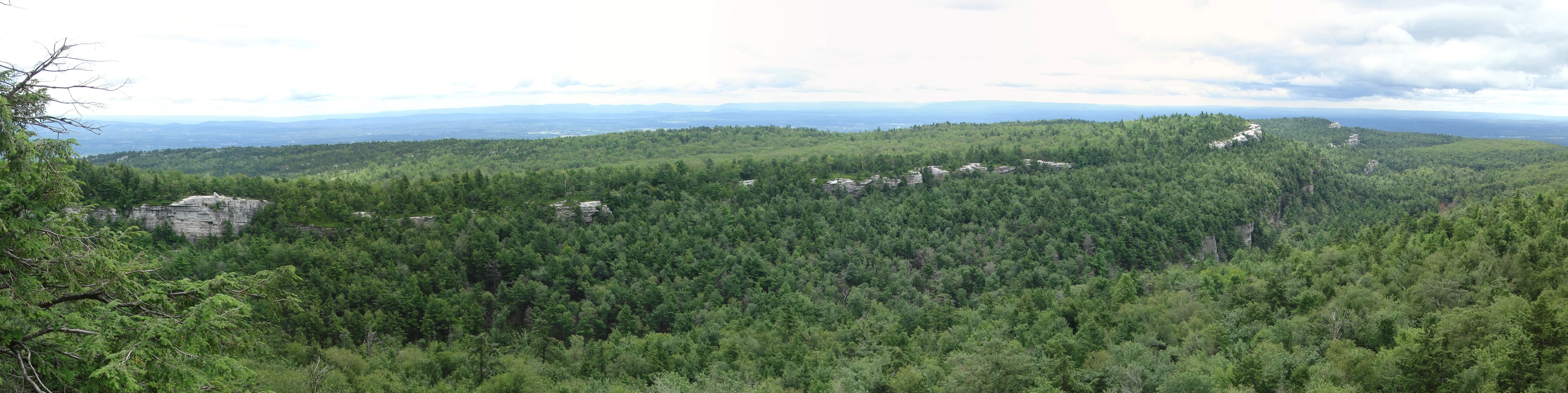 the large forested hill is covered in lots of trees