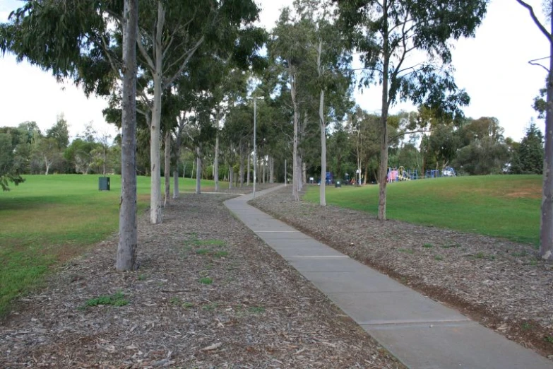 a long path between two trees along a trail