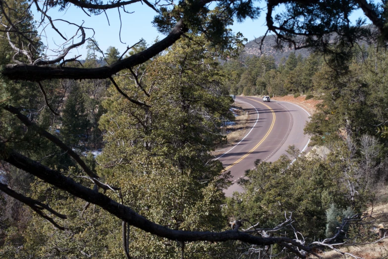 an aerial view of a road with trees around