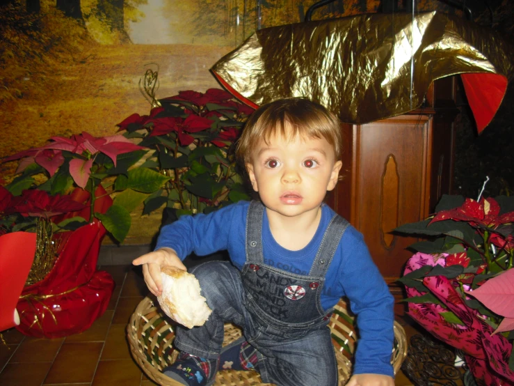 a baby is sitting in front of some plants