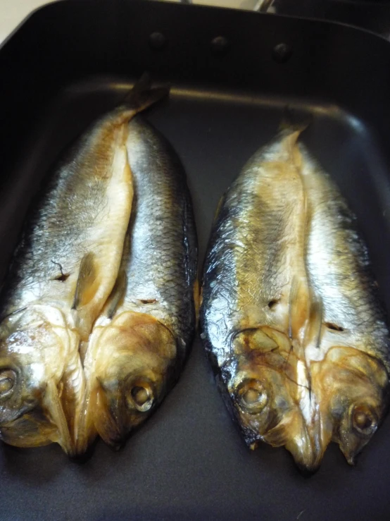 two fish with large claws are on a stove