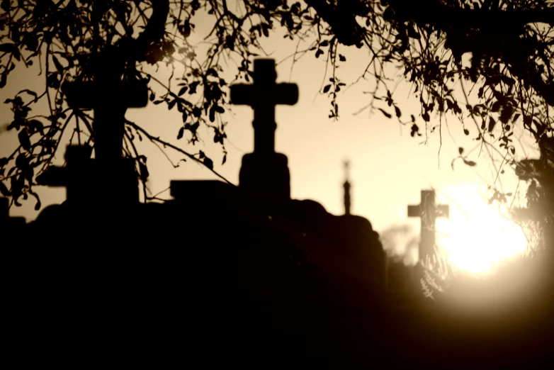 a silhouette of a tree over some cemetery tombstones