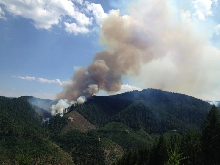 a large fire in the sky over some trees