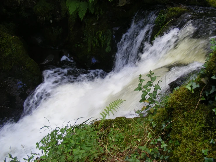 water that has waterfall inside of it near some grass