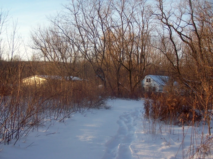 a long path with a barn and tree line in the background