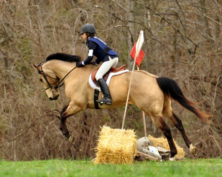 a person that is riding a horse by some hay