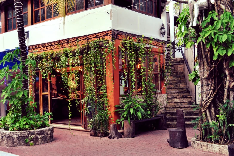 the house is covered with vines and flowers