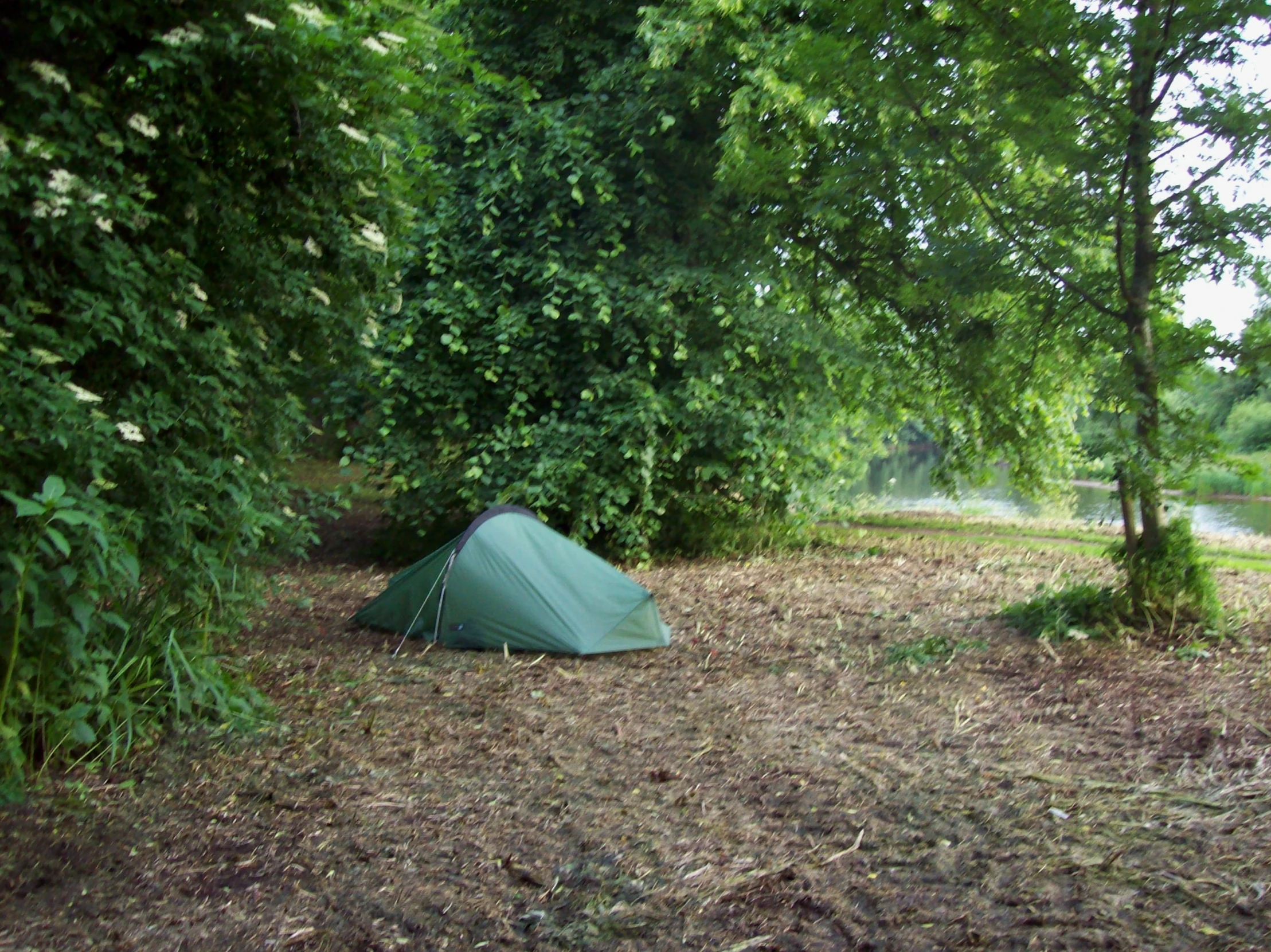 a green tent set up in the woods next to a stream