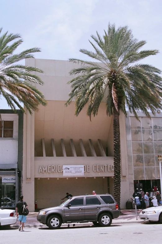 people standing outside of a store next to two palm trees