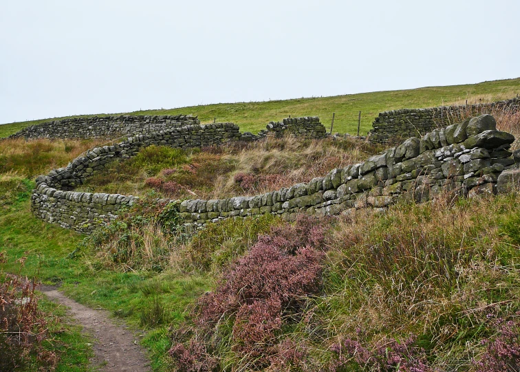 a lush green hill side surrounded by a dry stone wall