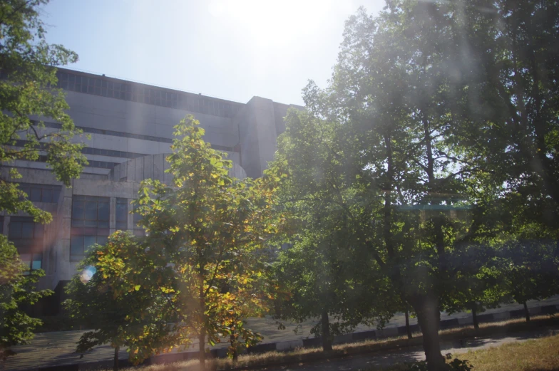 the building is next to many trees in front