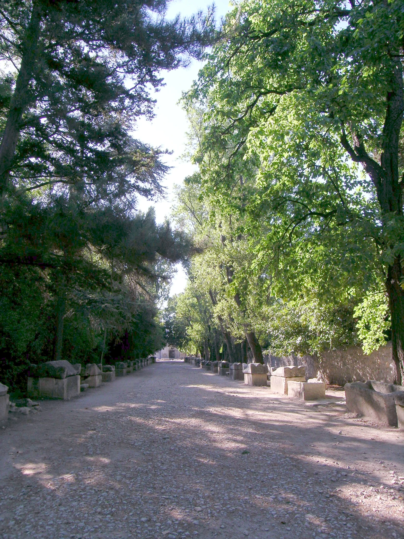 park benches line a walkway in front of trees