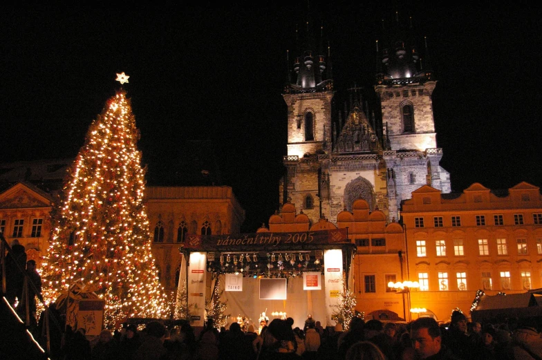 people standing around an illuminated christmas tree and castle