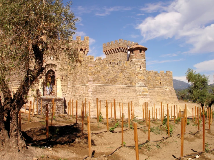 a castle and olive trees in an arid area