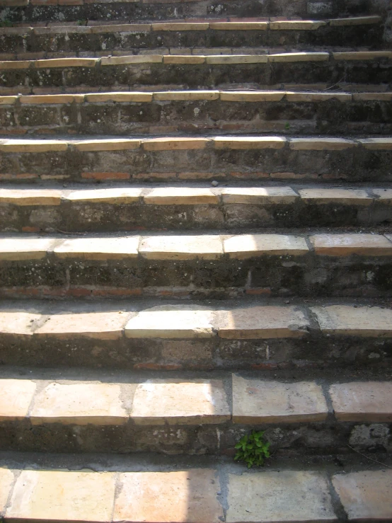 a stone staircase with steps, next to a green plant