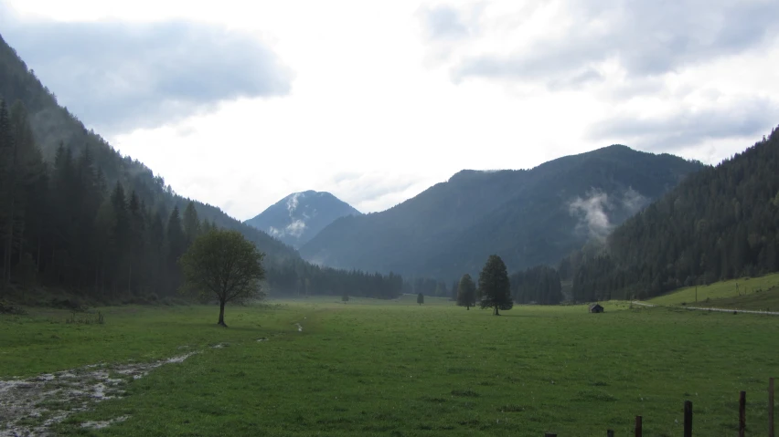 a very green valley with a few hills in the background