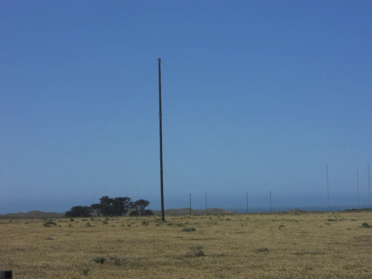 a field that has some pole in it