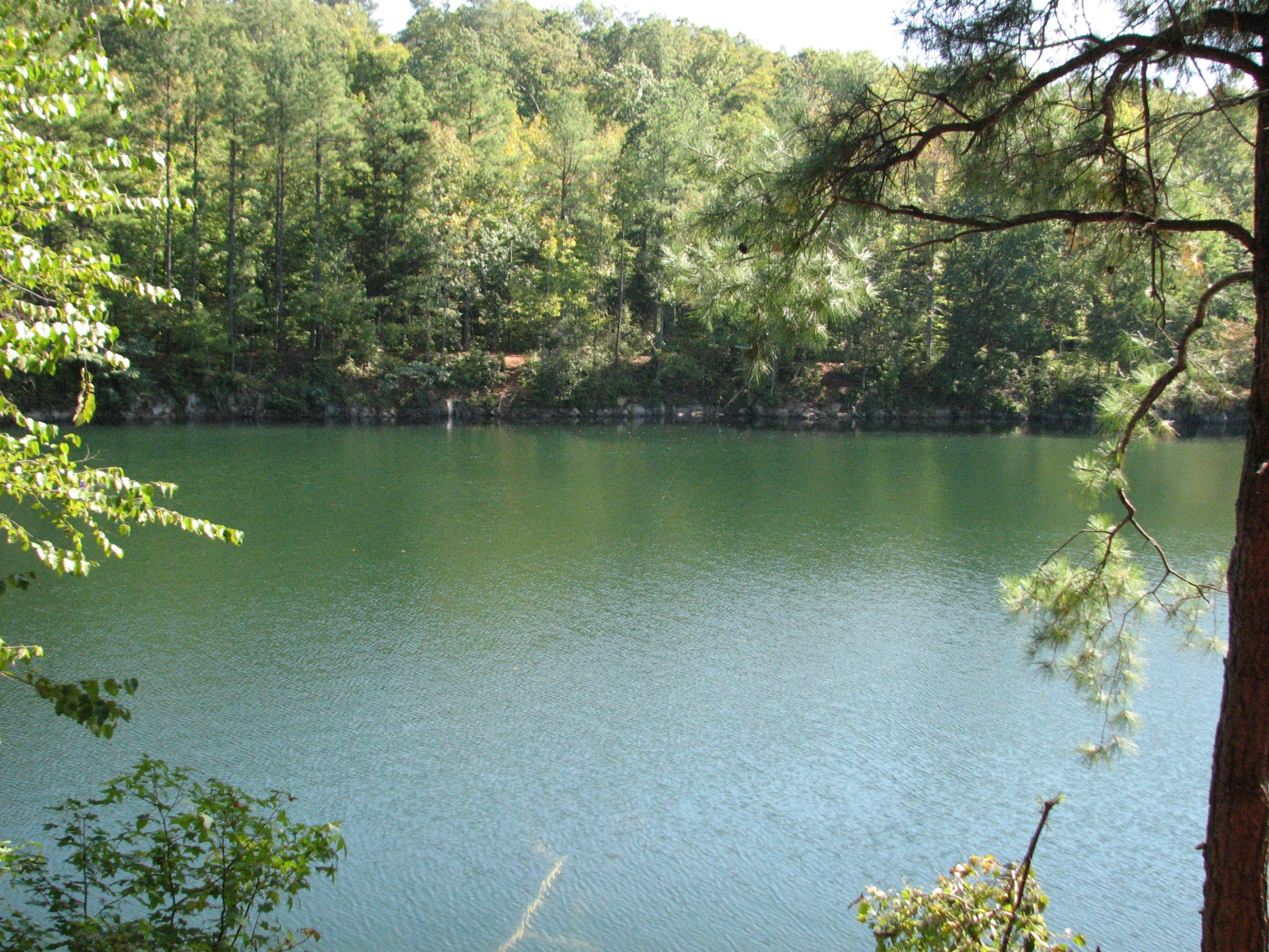 a blue lake is surrounded by trees in the daytime