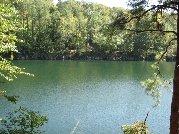 a blue lake is surrounded by trees in the daytime