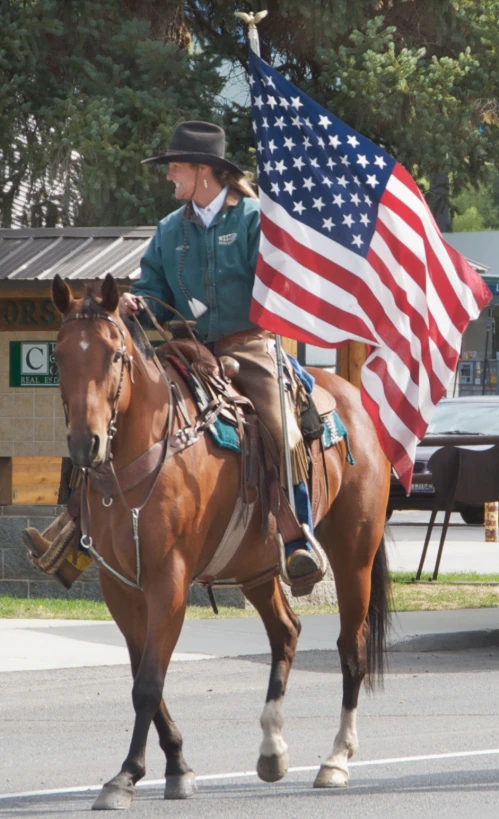 a man on a horse with an american flag