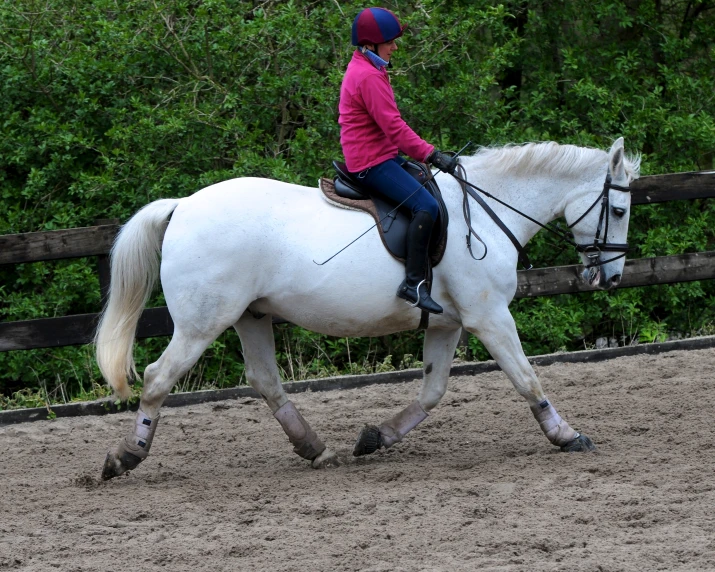 a woman riding on the back of a white horse