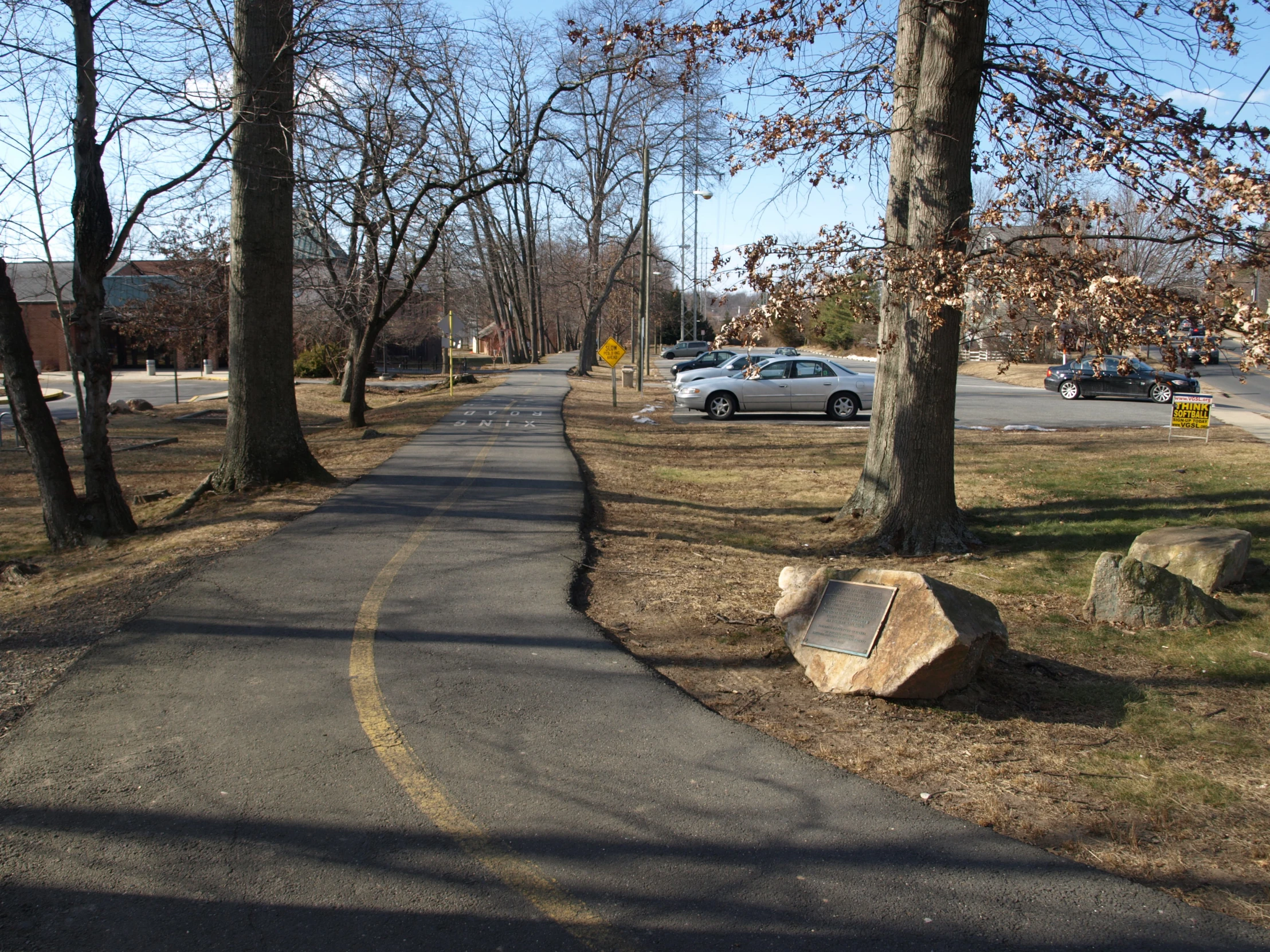 the car is driving on the street between trees