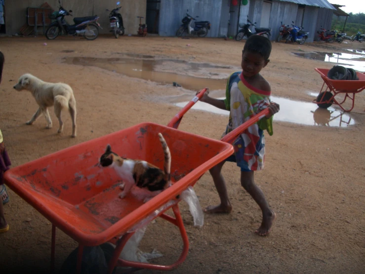 a child hing a wagon with a dog