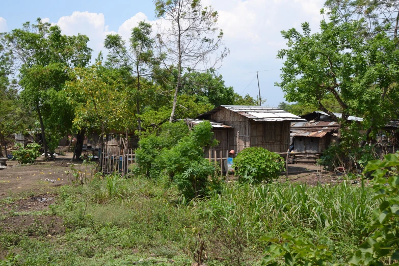 a wooden building is next to a group of trees