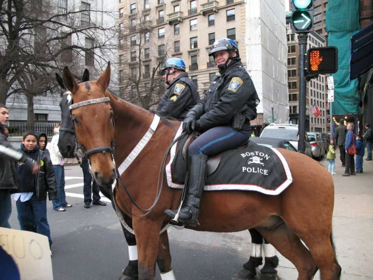 a police man riding on the back of a brown horse