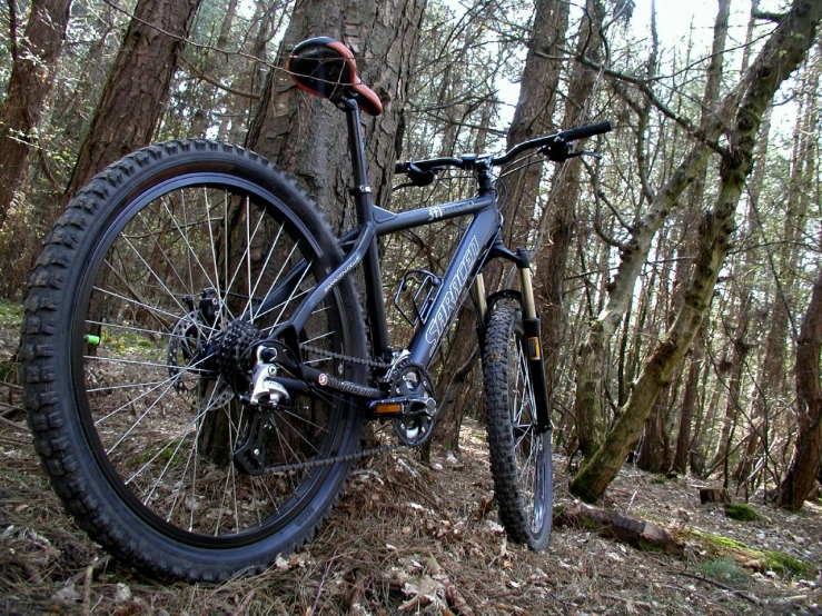 a bike parked in the woods with no wheel