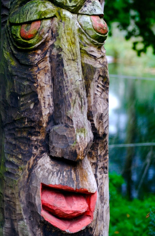 a carved face sitting on top of a tree