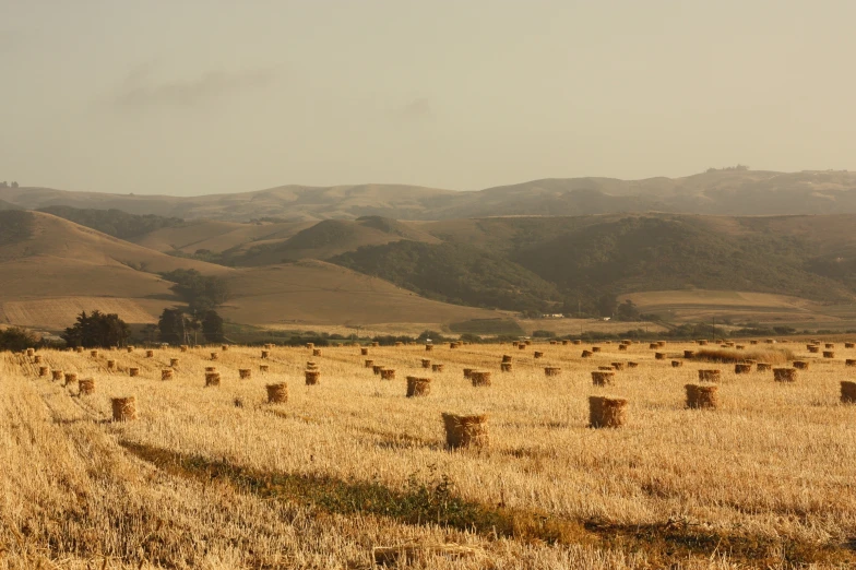 a field full of hay bales with hills behind them