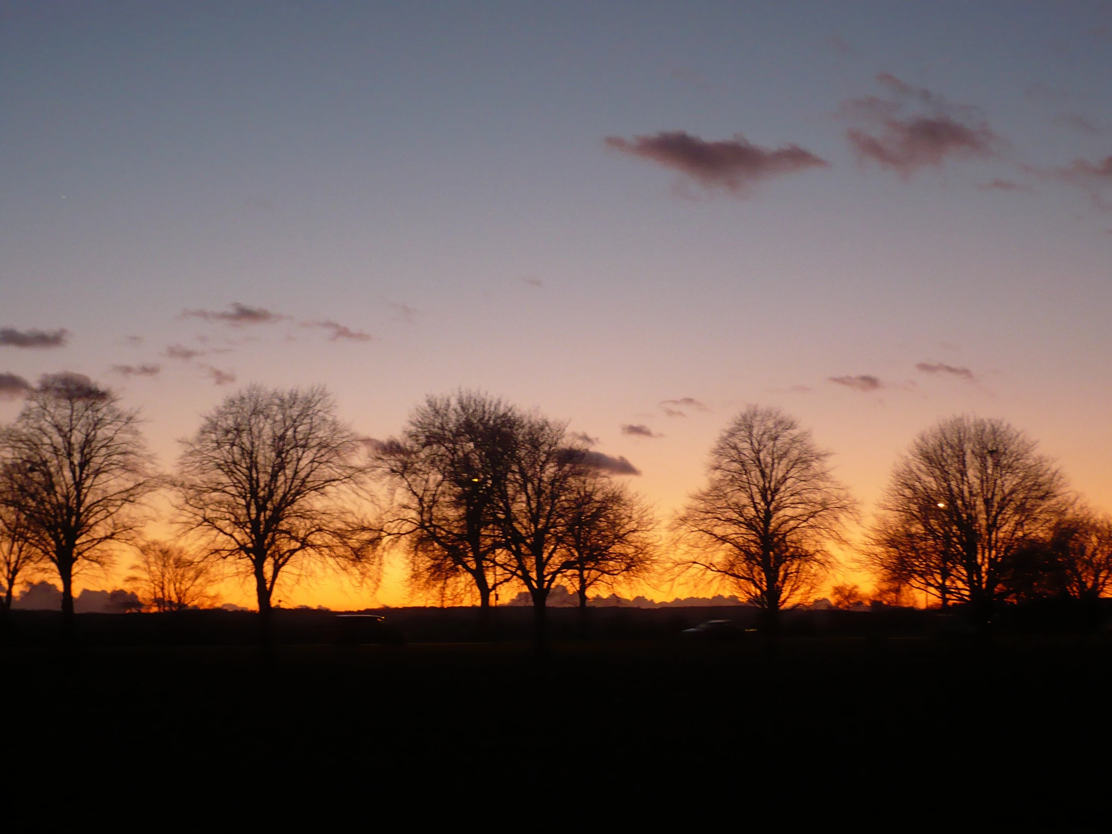 a sunset with trees in silhouette in the background