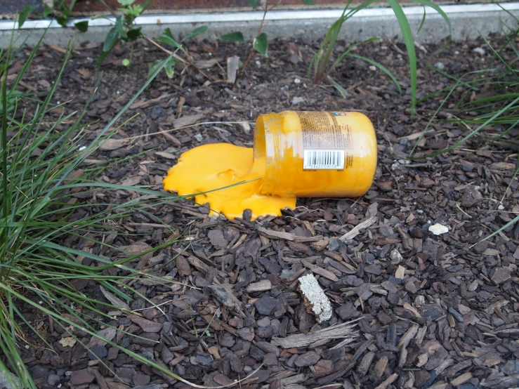 a bottle sitting on the ground next to grass