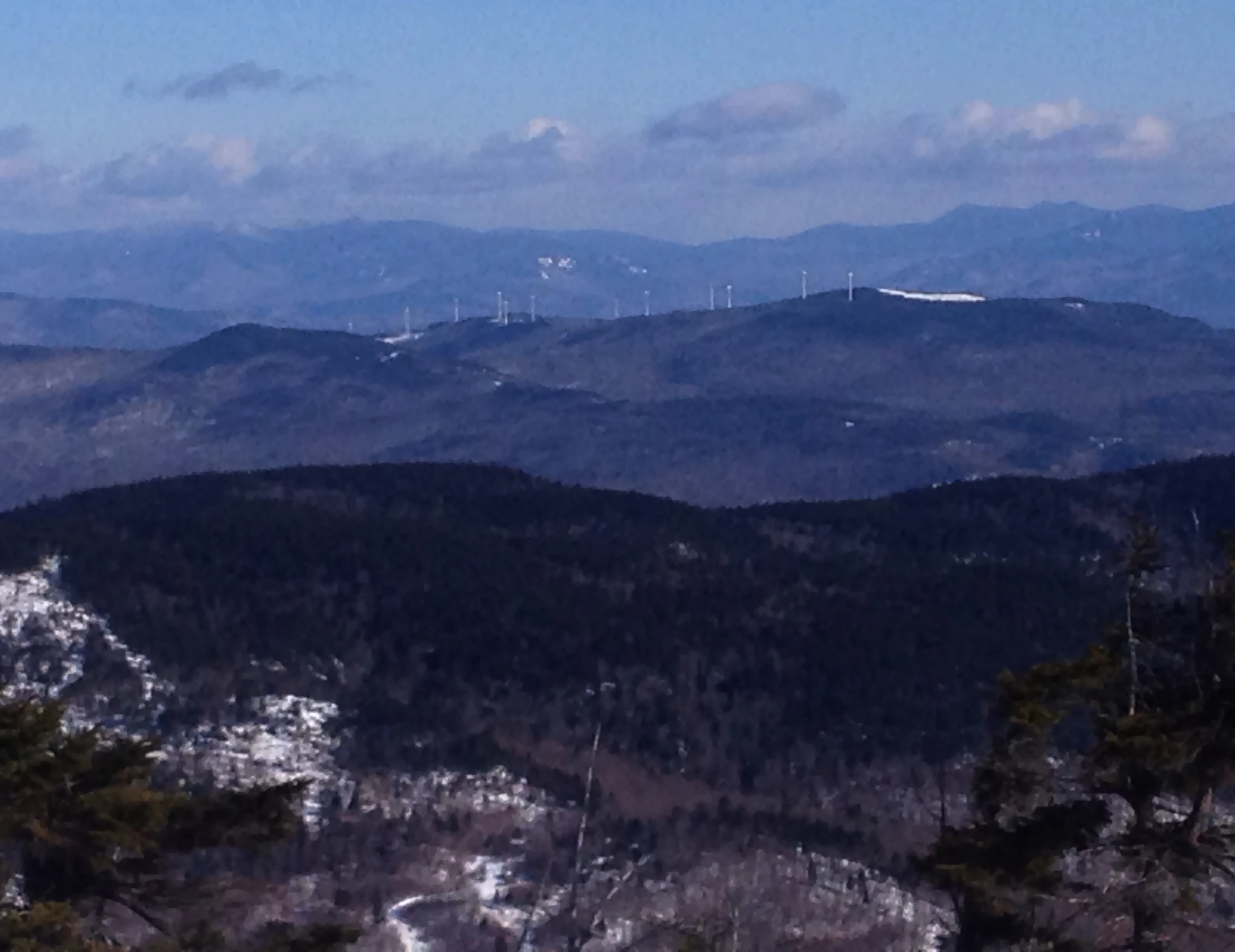 a group of trees sitting on top of a snow covered slope