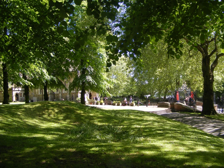 some trees that are in the grass by some water