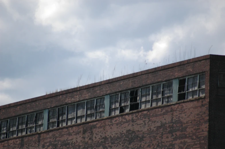 a tall brick building has several windows and vines growing on the side