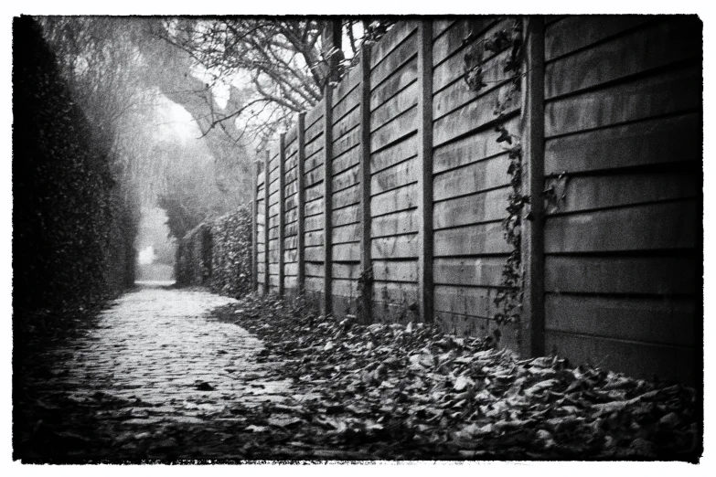 a row of wooden fences line a sidewalk