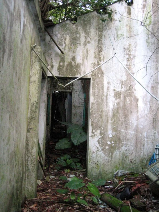 an alley with no doors or steps leads to a dilapidated building