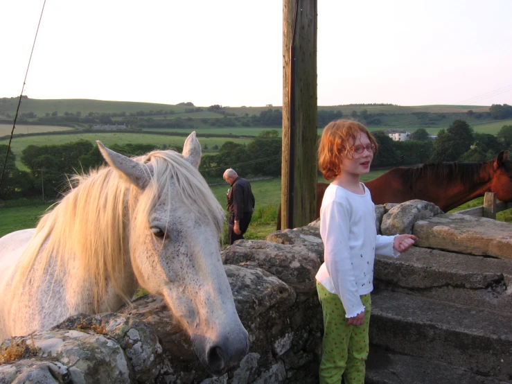 there is a little girl standing in front of a white horse