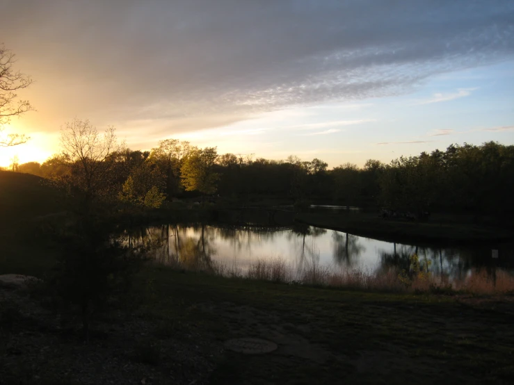 a body of water with trees and grass near by