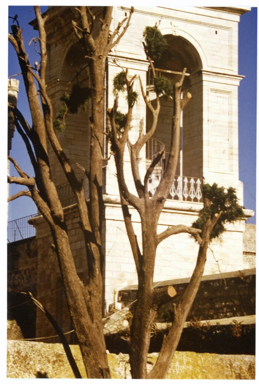 large building with palm trees outside in the daytime