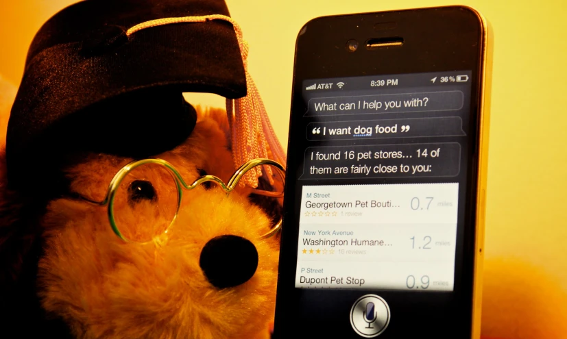 a teddy bear in glasses with a cell phone on his head