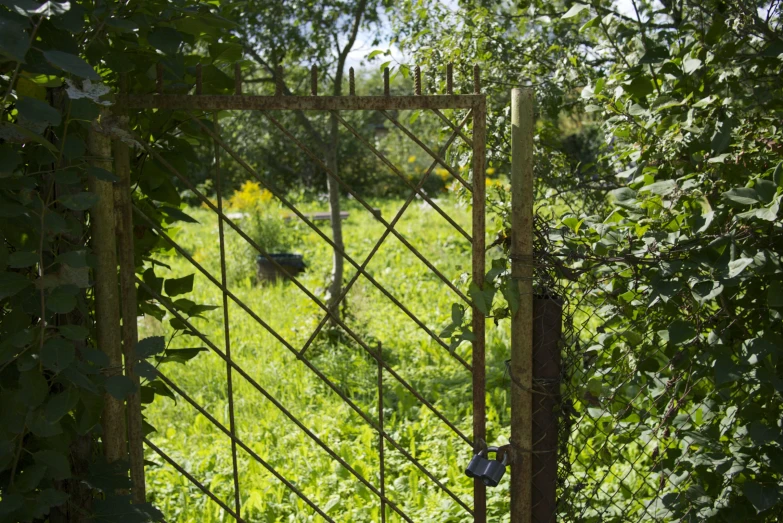 the gate is surrounded by tall green foliage