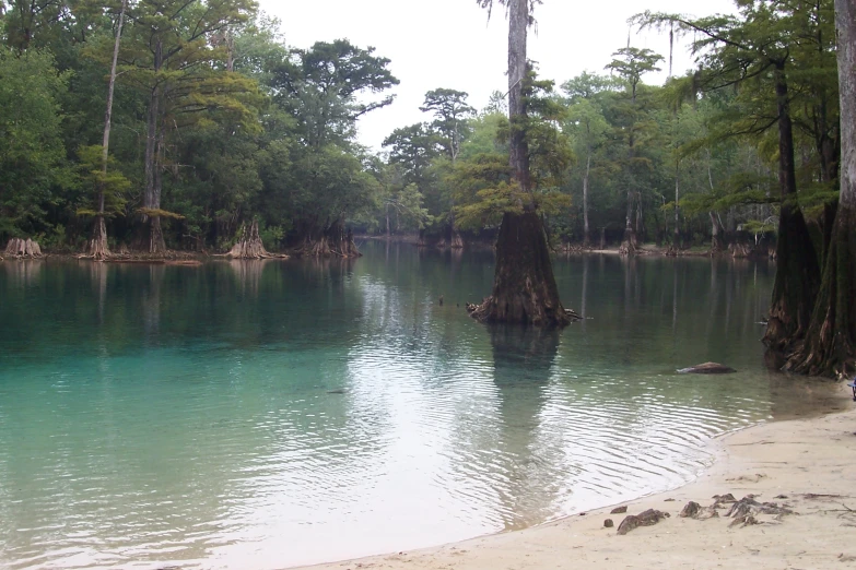 the water is clear and blue in the wilderness