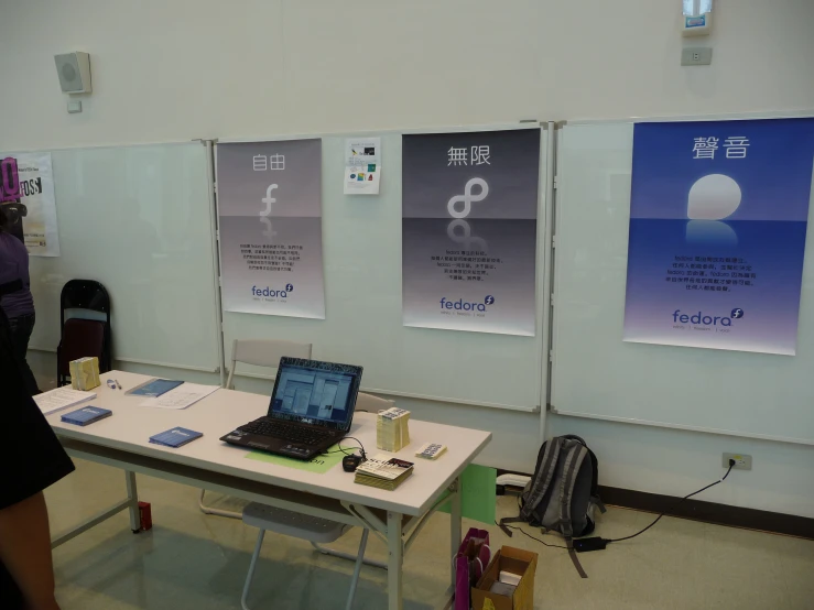 woman looking at poster on display in building