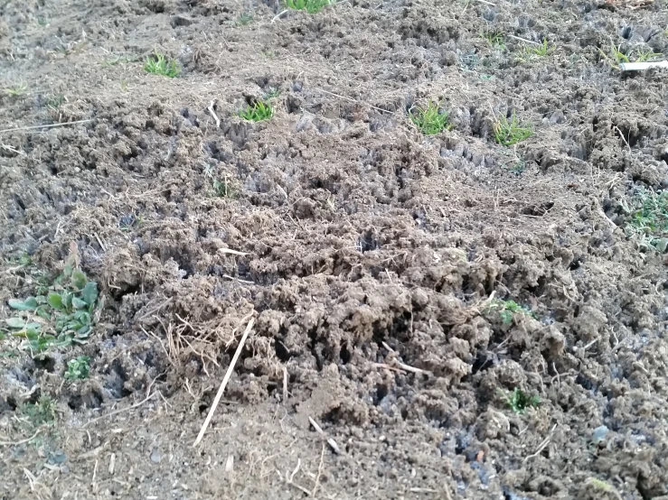 there is a big pile of composthed soil with a fire hydrant in it